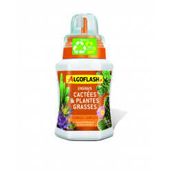 Engrais cactées plantes grasses 250ml - ALGOFLASH 