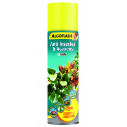 Insecticide plantes intérieur aérosol 200ml - ALGOFLASH 
