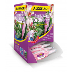Monodose revitalisant orchidées 30 ml - ALGOFLASH