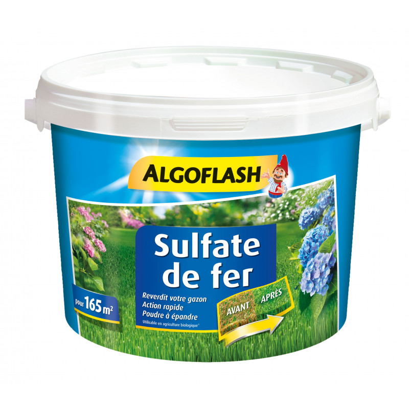 Sulfate fer seau 5kg pour 165m - ALGOFLASH 