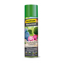 Insecticide cochenille pyrales aérosol 400ml - ALGOFLASH 