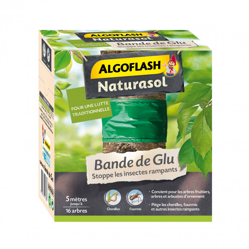 Bande glu 5m   - ALGOFLASH 