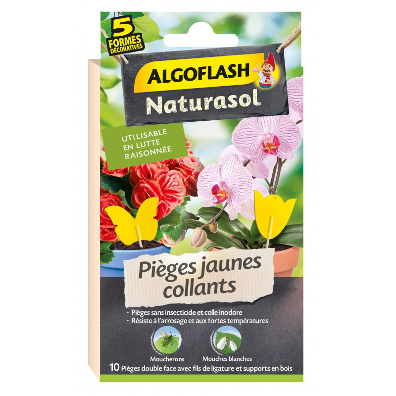 Pièges jaunes collants déco x10 - ALGOFLASH 