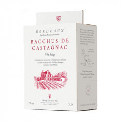 Bordeaux rouge Bacchus Castagnac bag in box 5 L - CHATEAU CASTAGNAC 