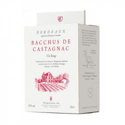 Bordeaux rouge Bacchus Castagnac bag in box 5 L - CHATEAU CASTAGNAC