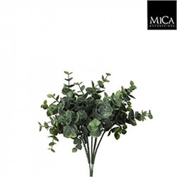 Eucalyptus vert - l20cm - MICA