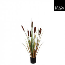Typha pot plastique marron - h90xd12,5cm - MICA 