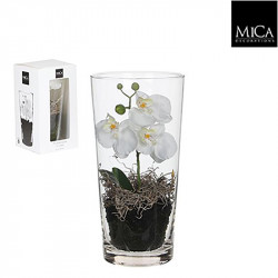 Phalaenopsis blanc vase giftbox- h30xd15cm - MICA