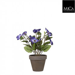 Pensee violet pot Stan gris d9cm - h19xd20cm - MICA