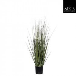 Gras pot vert - h92xd35cm - MICA