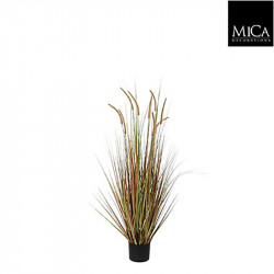 Herbe panaché Dogtail pot vert - h92xd35cm - MICA