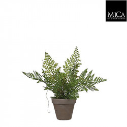 Fougère vert pot Stan gris d9cm - h21xd25cm - MICA