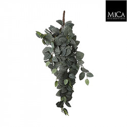 Fittonia à suspendre vert - l54xb20xh15cm - MICA