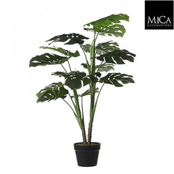Monstera pot vert - h100xd70cm - MICA