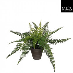 Fougère verte pot Stan gris d13,5cm - h38xd50cm - MICA 