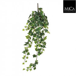 Lierre à suspendre vert panaché - l86cm - MICA