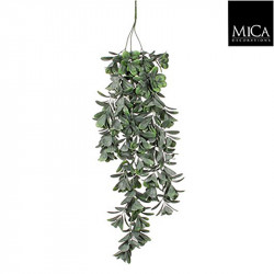 Crassula à suspendre vert - l79cm - MICA