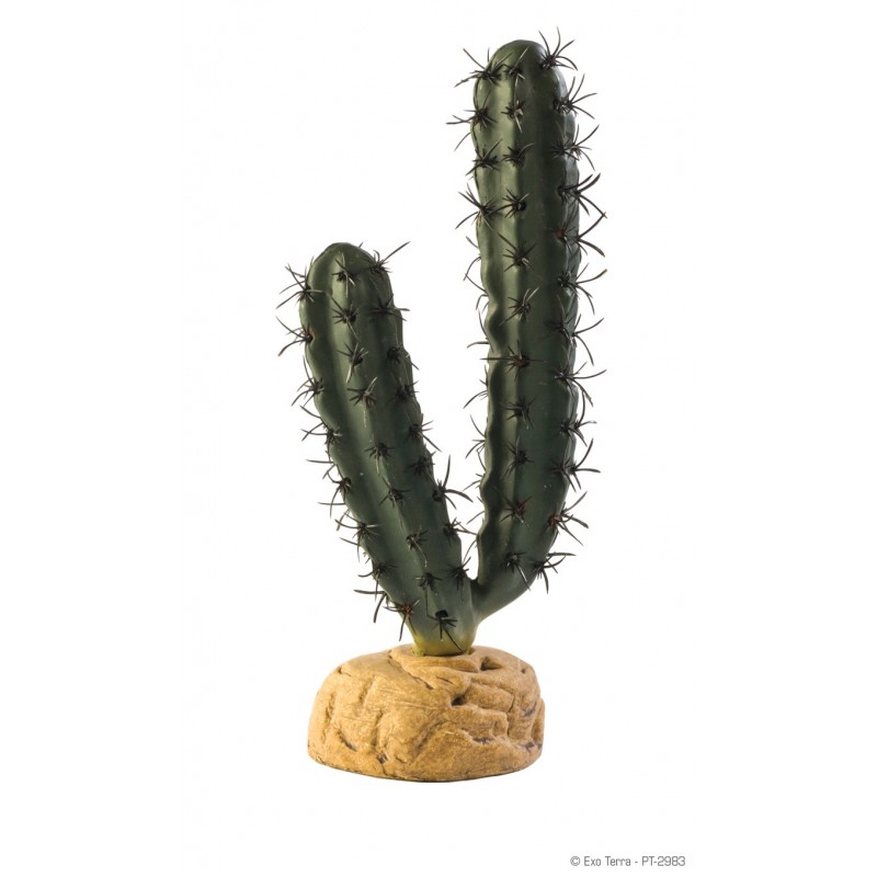 Cactus doigt - Exo Terra Cactus doigt - Exo Terra