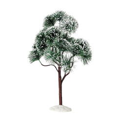 MOUNTAIN PINE EXTRA LARGE - LEMAX