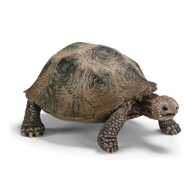 Figurine tortue géante Figurine tortue géante