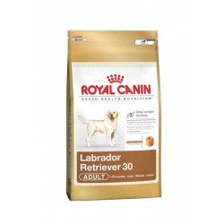  Croquettes Royal Canin pour Labrador - 12kg
