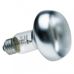 Ampoule chauffante Zolux - 40 W