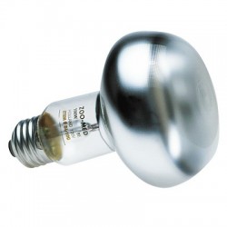 Ampoule chauffante Zolux - 60 W