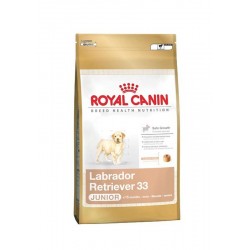 Croquettes Royal Canin pour chiot Labrador -12kg