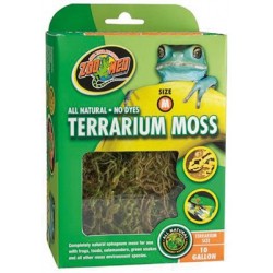 Mousse pour terrarium