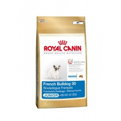 Croquettes Royal Canin pour chiot Bouledogue Français - 10kg