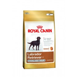 Croquettes Royal Canin pour Labrador stérilisé - 12kg