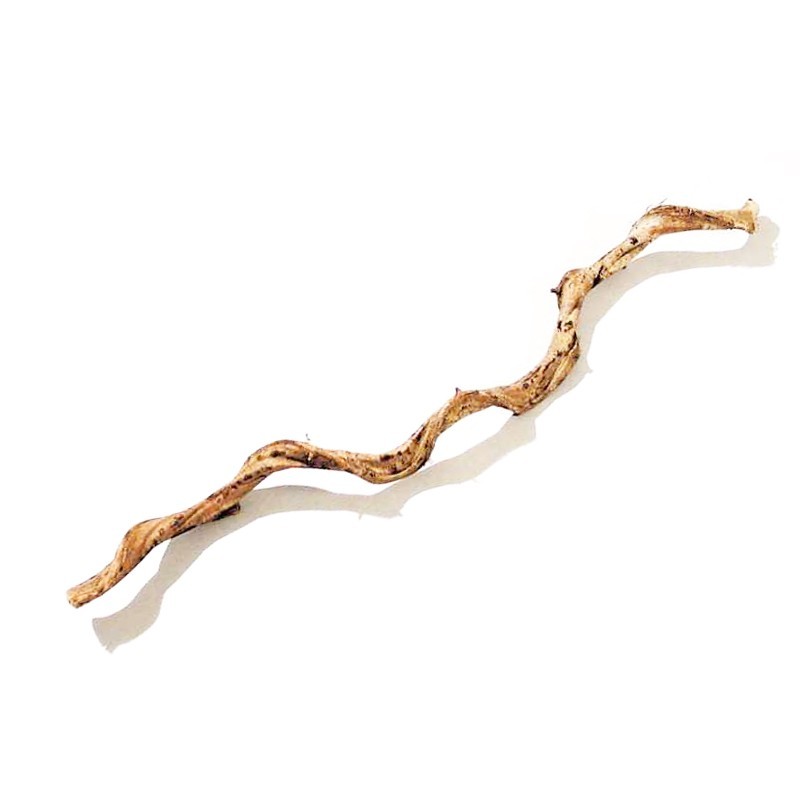 Liane naturelle 75cm Liane naturelle 75cm