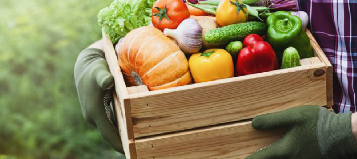 Que faire au potager en automne ?